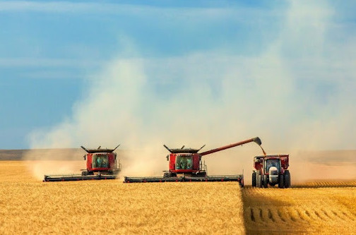 Өнімі мол күзгі маусым