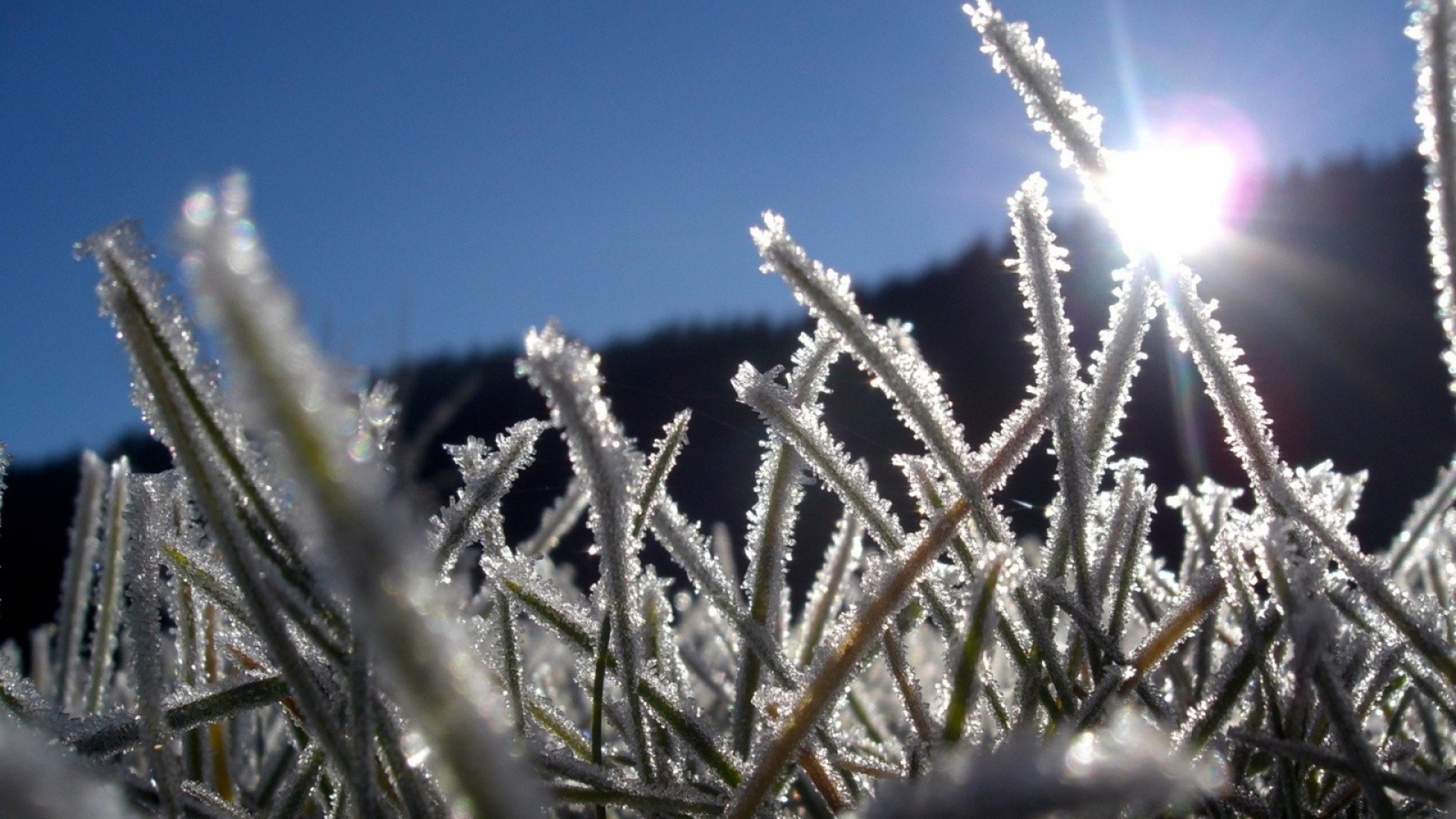 Алдағы үш күнде ауа райы қандай болады?