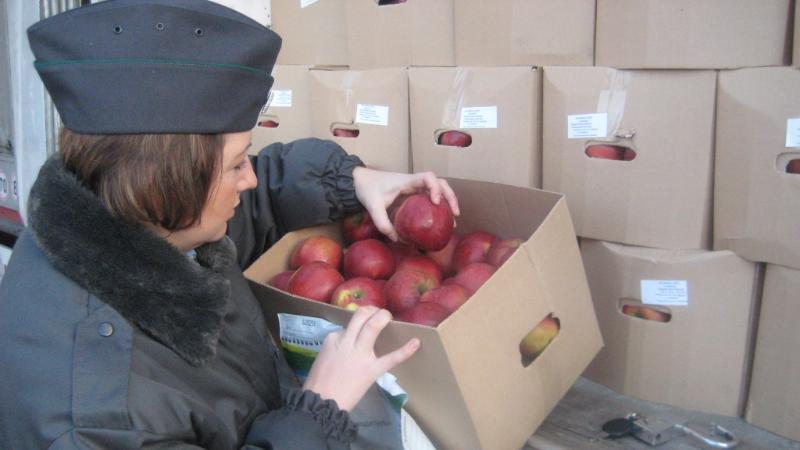 Тыйым салынған өнімді елге кіргізбек болғандар анықталды