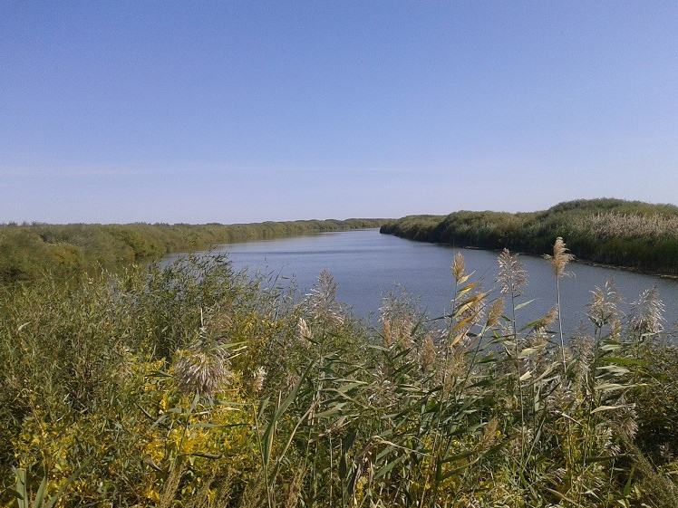 Батыр көтерген ту