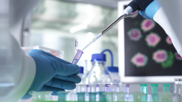 Отандық ғалымдар терең жаралар мен күйіктерді емдейтін инновациялық құралдар ойлап шығарды