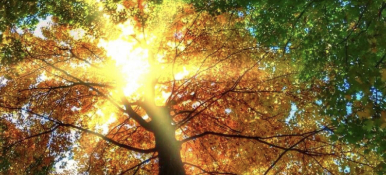 Ел аумағының басым бөлігі жауын-шашынсыз болады