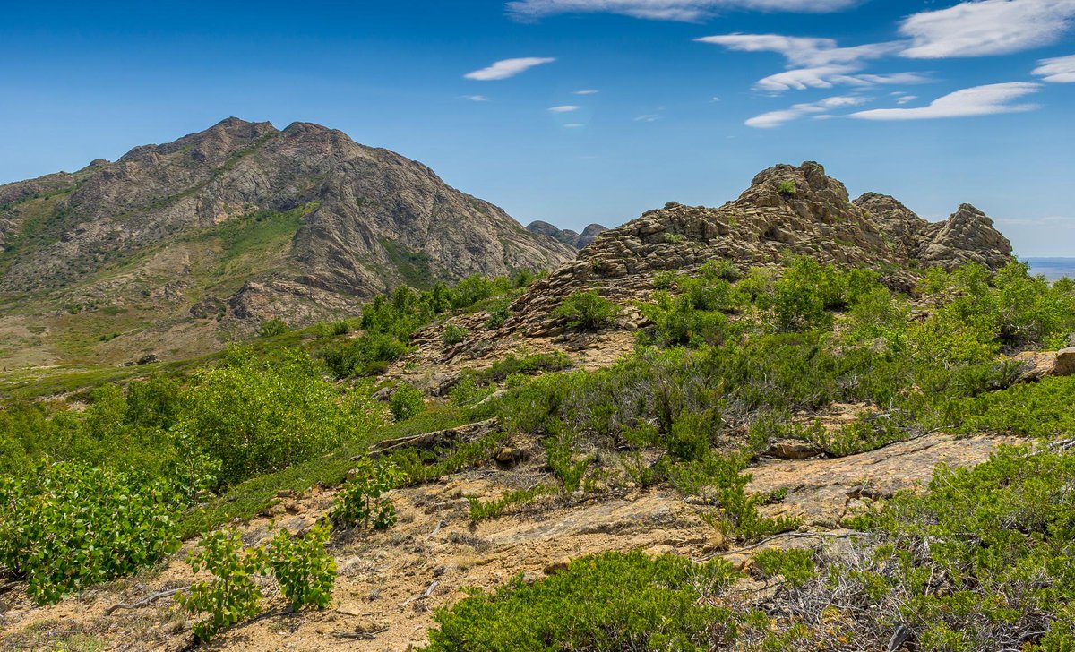 Қазақстанда жаңа мемлекеттік ұлттық парк құрылады