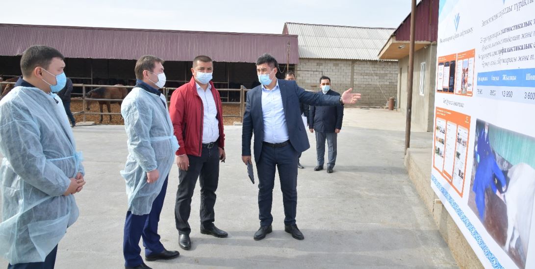 Шымкентте «VET QYZMET» пилоттық жобасы іске қосылды