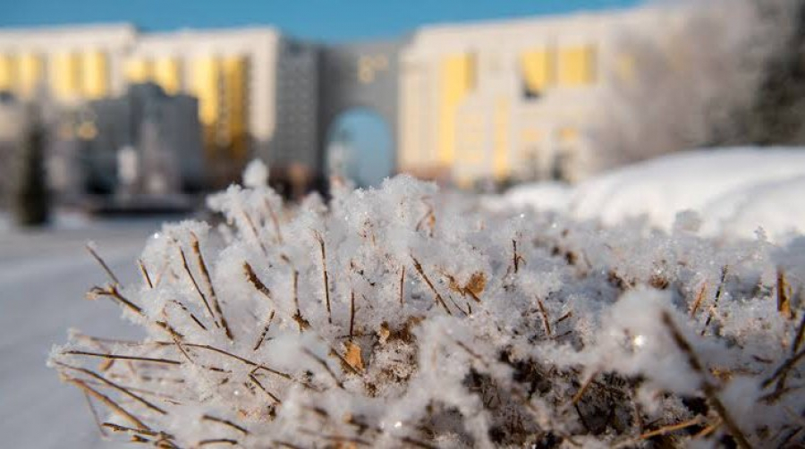 Алдағы үш күнде  -20 градусқа дейін аяз болады