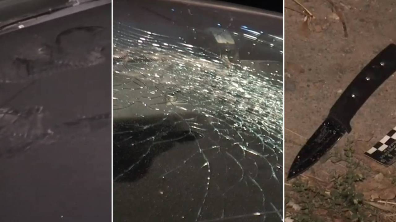 Алматыда жаппай төбелес болды