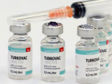 Түркия Turkovac вакцинасын мақұлдауға өтініш берді