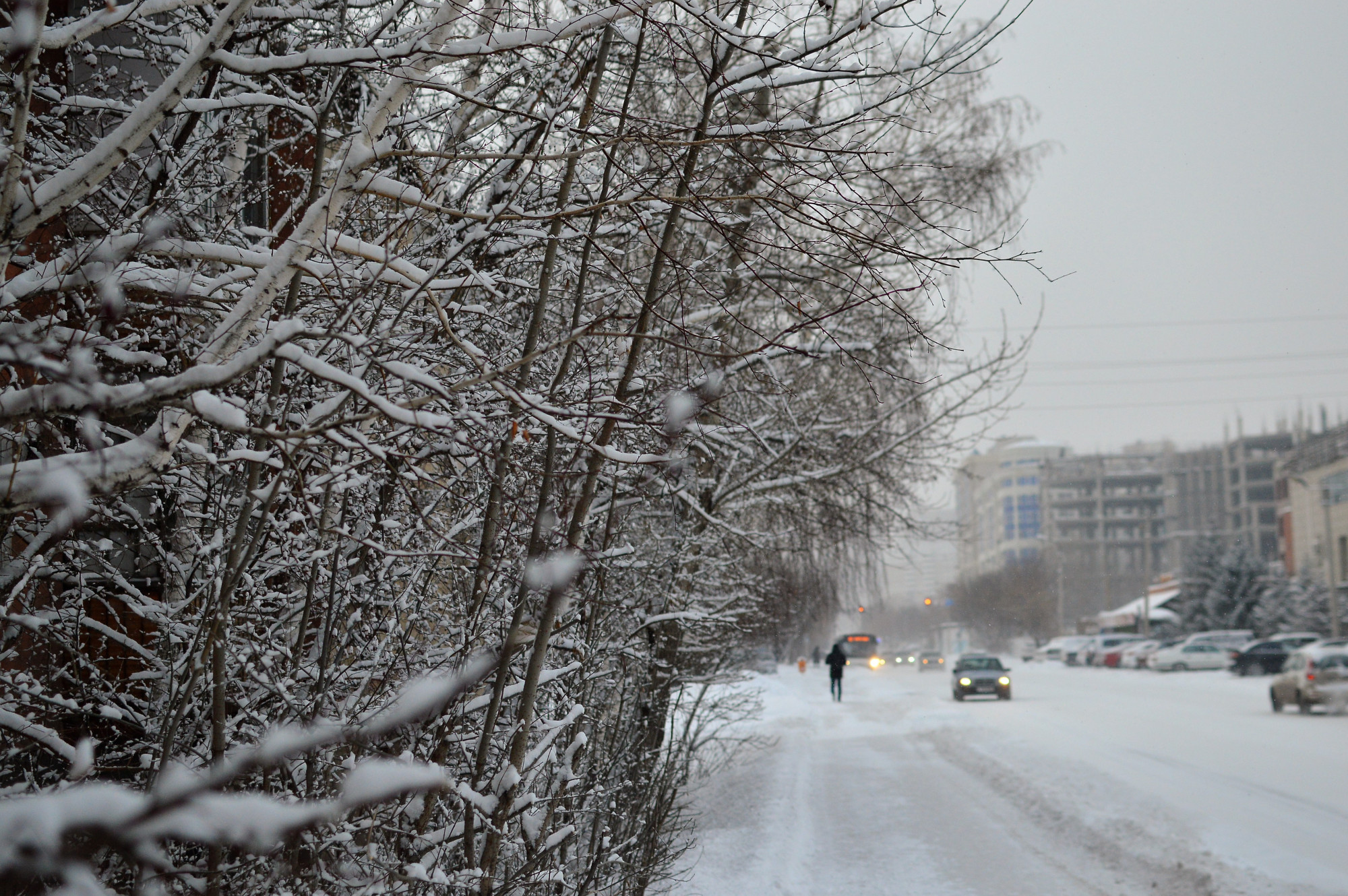Еліміздің басым бөлігінде көктайғақ болады