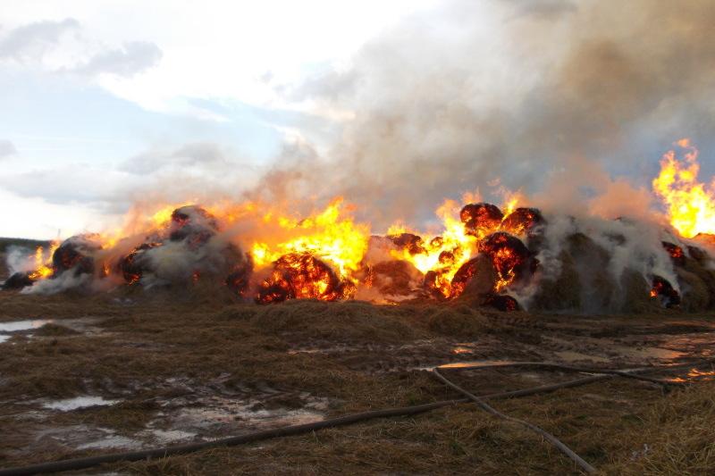 ШҚО-да 175 тонна шөп өртеніп кетті