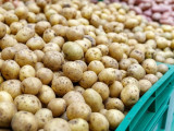Қазақстанда картоп экспортына тыйым салынды