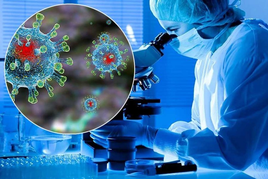 Коронавирустың «омикрон» штамы әлемнің 110 елінен анықталды