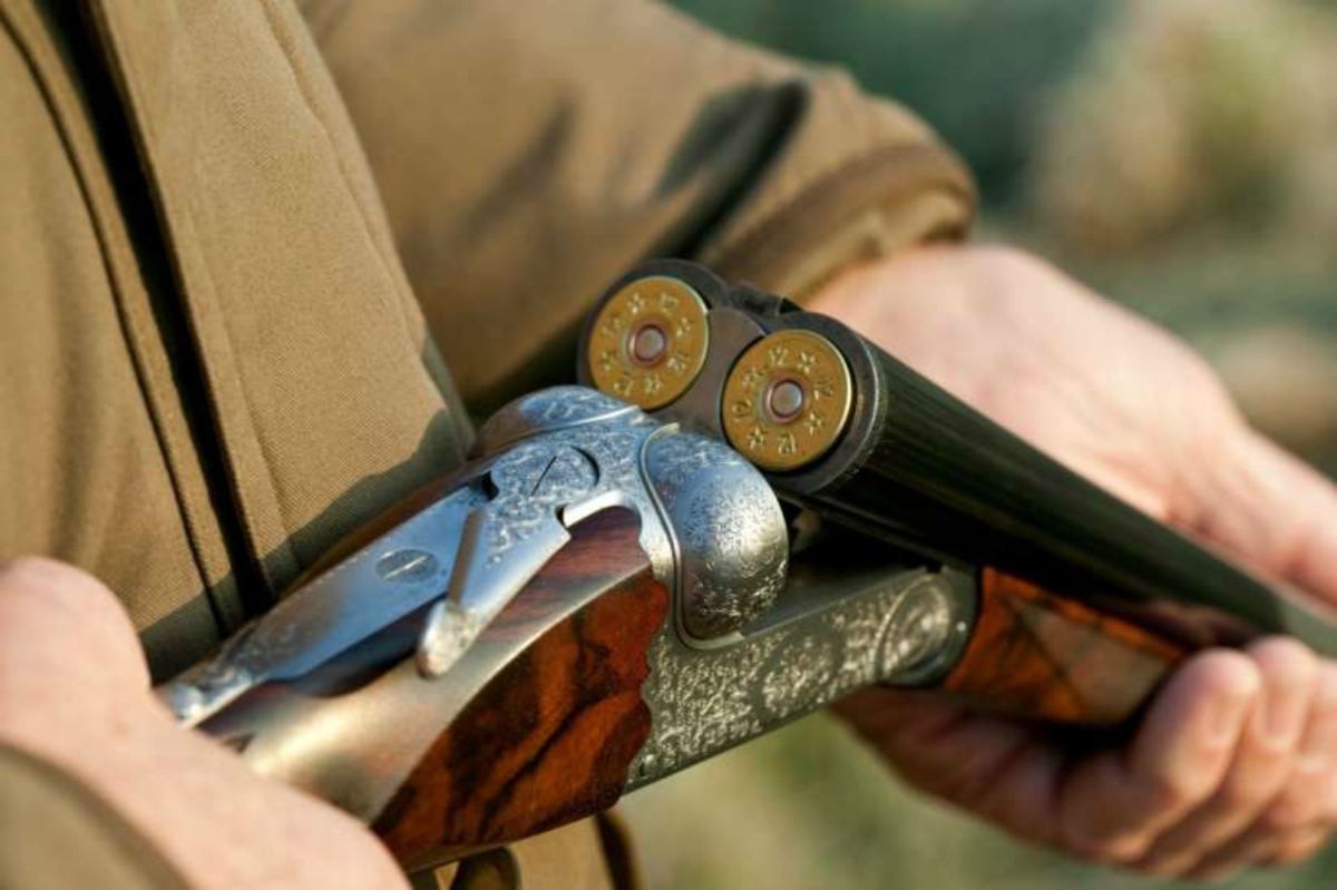 Павлодарда сілеусін мен елік аулағандар ұсталды