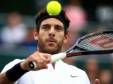 US Open чемпионы 33 жасында кәсіби мансабын аяқтады