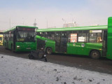Алматыда үш автобус бір-біріне соғылды