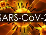 SARS-COV-2: Коронавирустың жаңа штамы анықталды