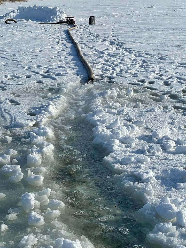 Балыққа келген нәубет