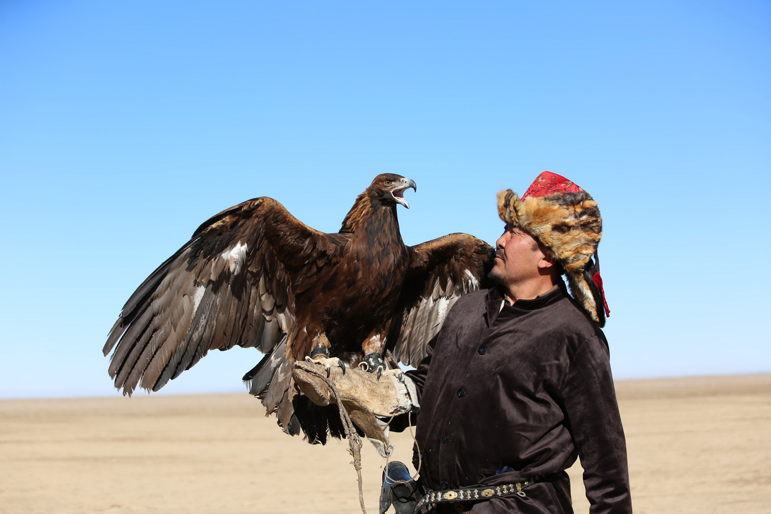 Қаратау баурайында қыран қалқып...