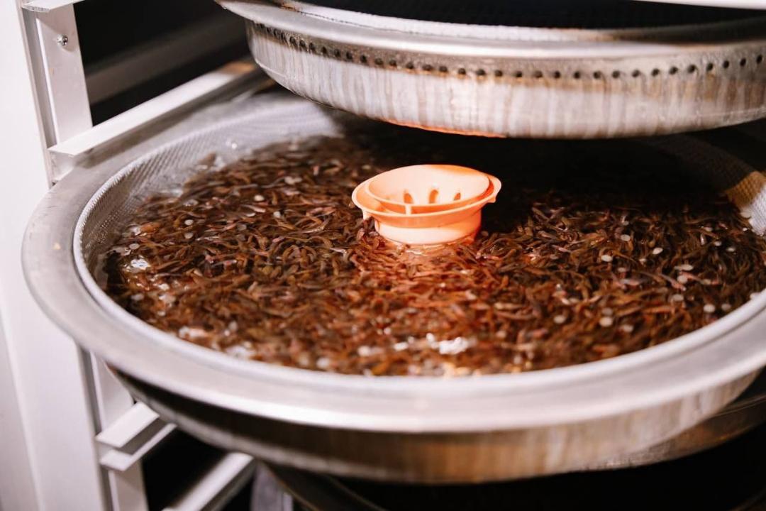 Балық өсіргеннің байлығы көл-көсір