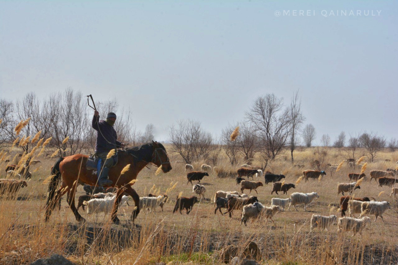 апопрл