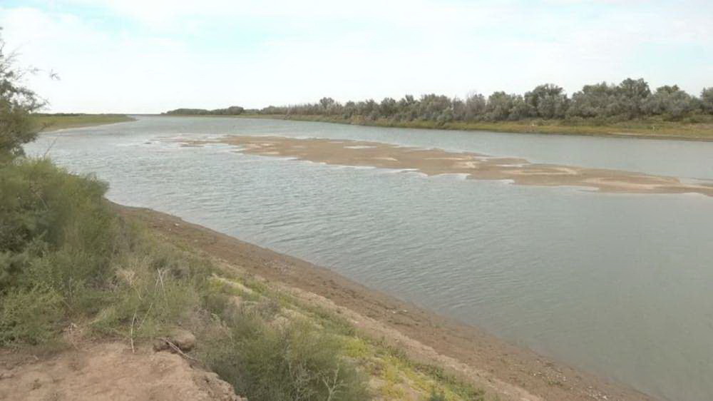 Дария деңгейі биыл да төмен