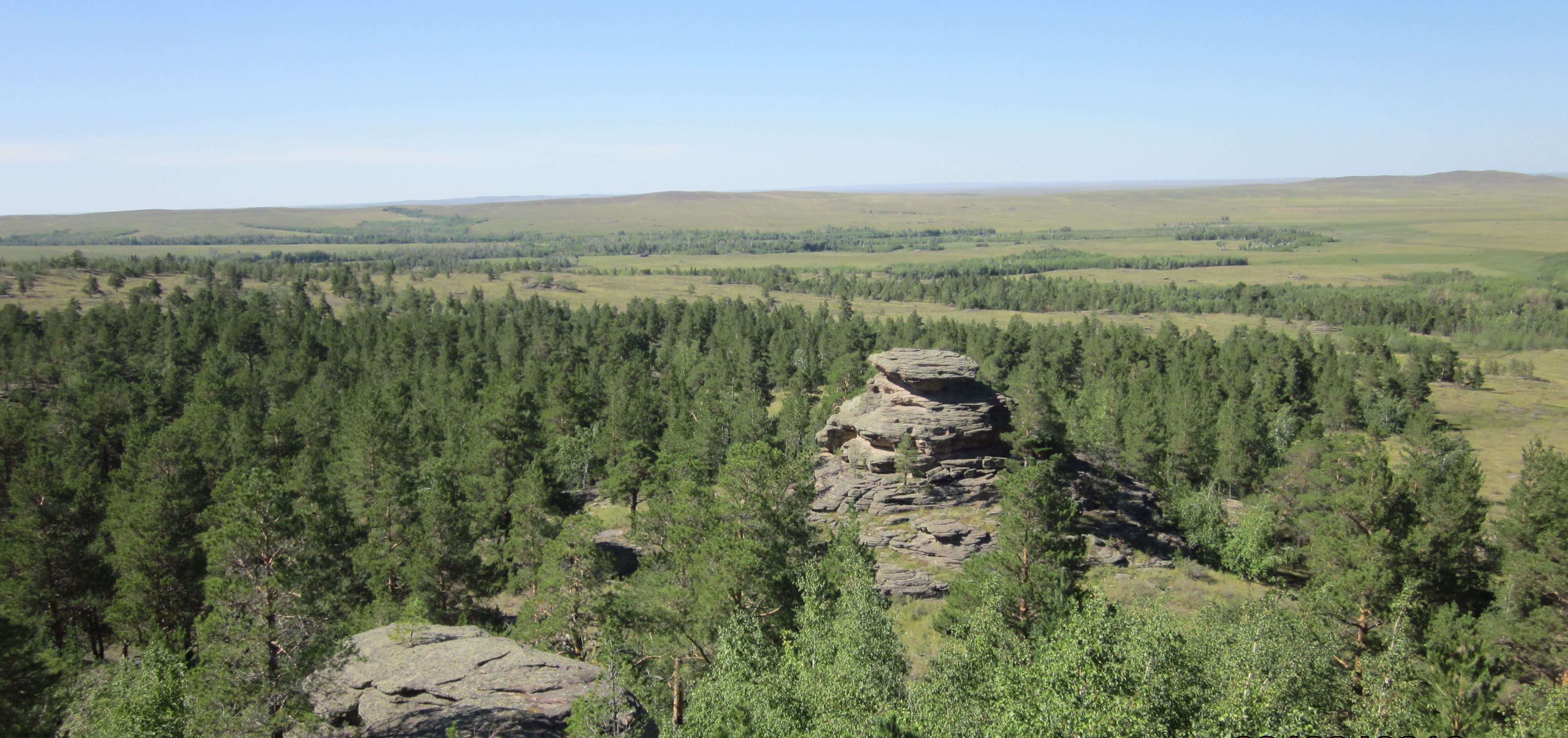 Бұйратау базарлығы