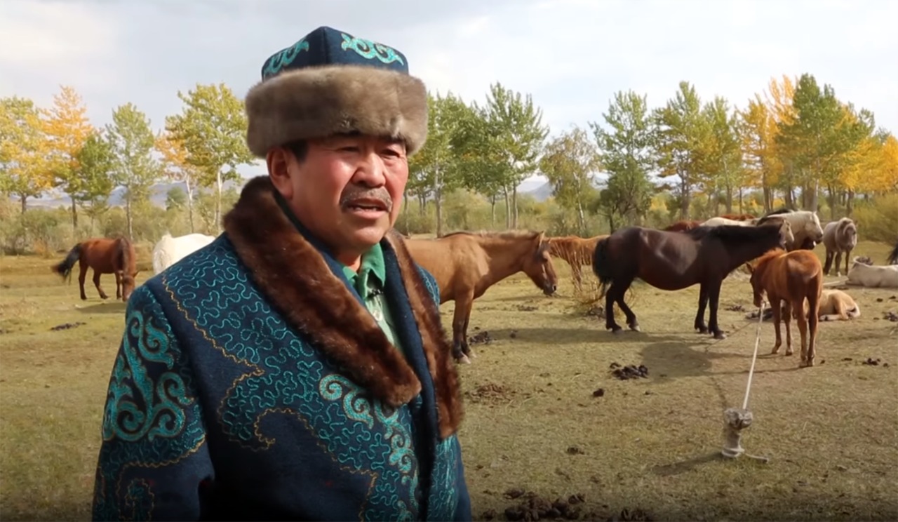 «Тау жылқысы табанды болады»