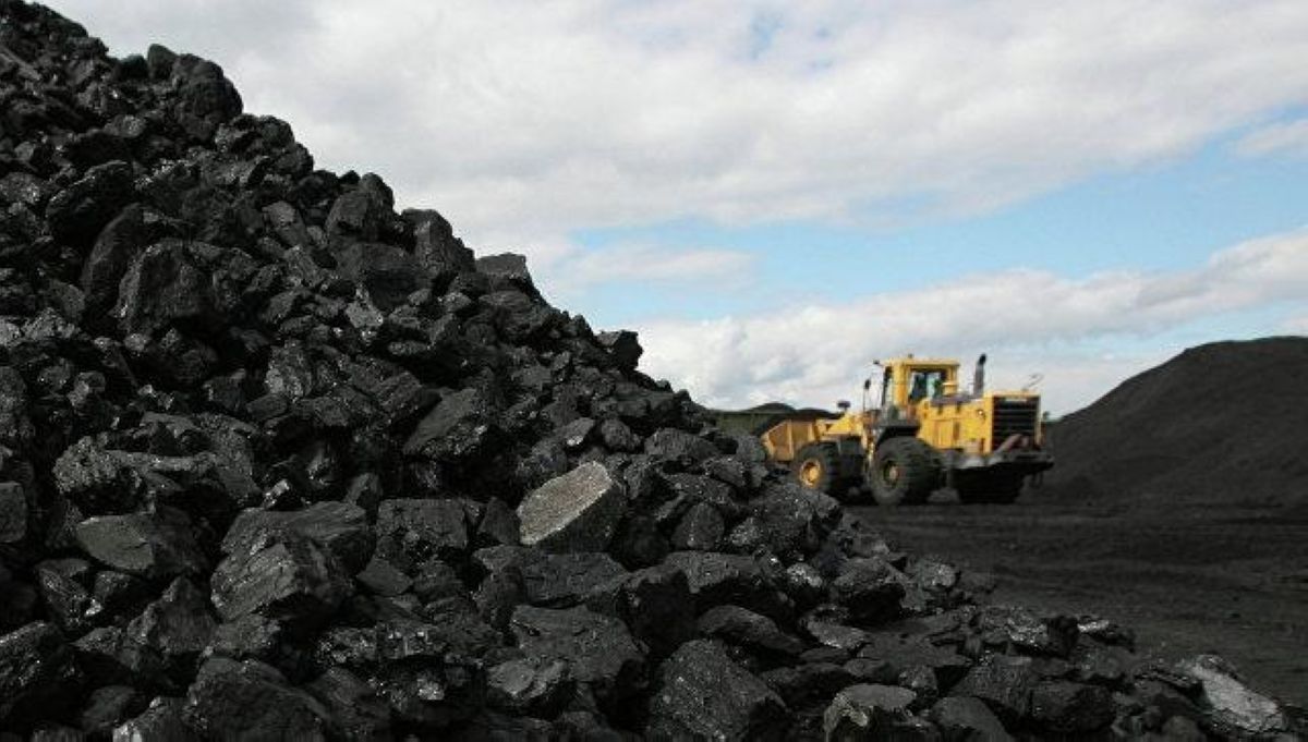 Көмір кезегін қалай реттеуге болады?