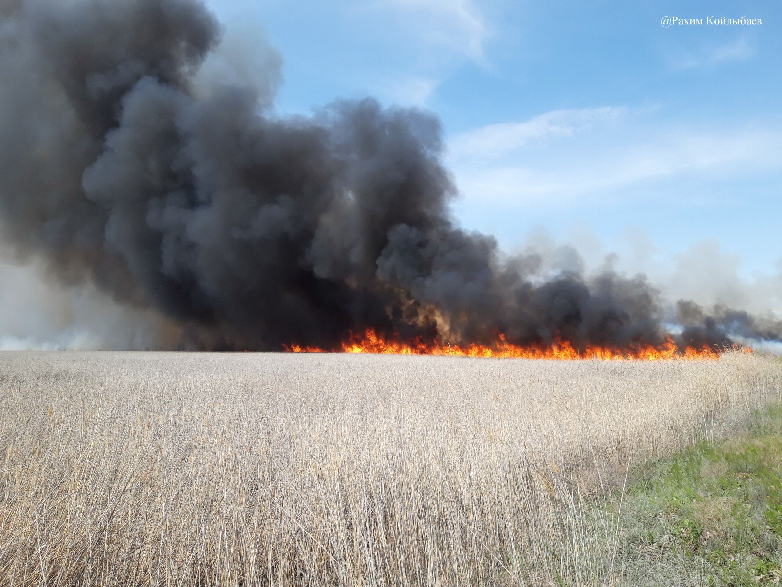 Табиғатқа жасалған тағылық