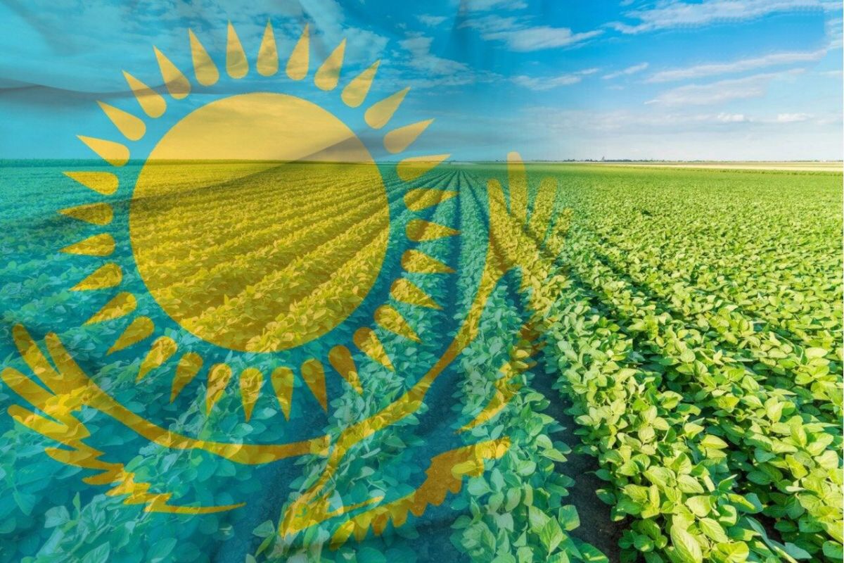 Ауыл шаруашылығы жерге қаратпайды