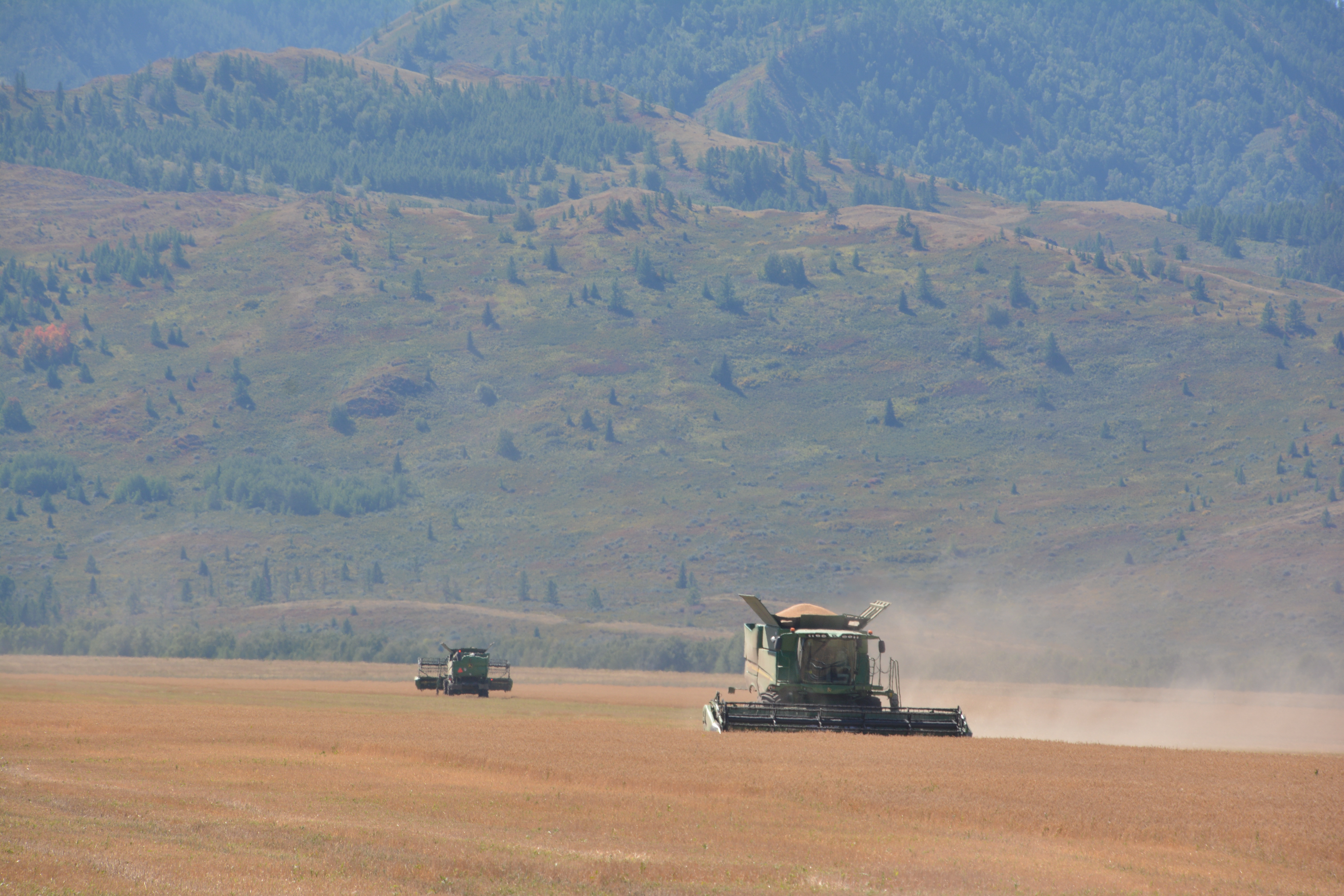 Жиын-терім ойдағыдай жүргізіліп жатыр