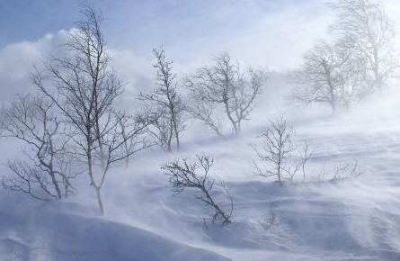 Сәрсенбіде кей өңірлерде ауа райы қолайсыз болады