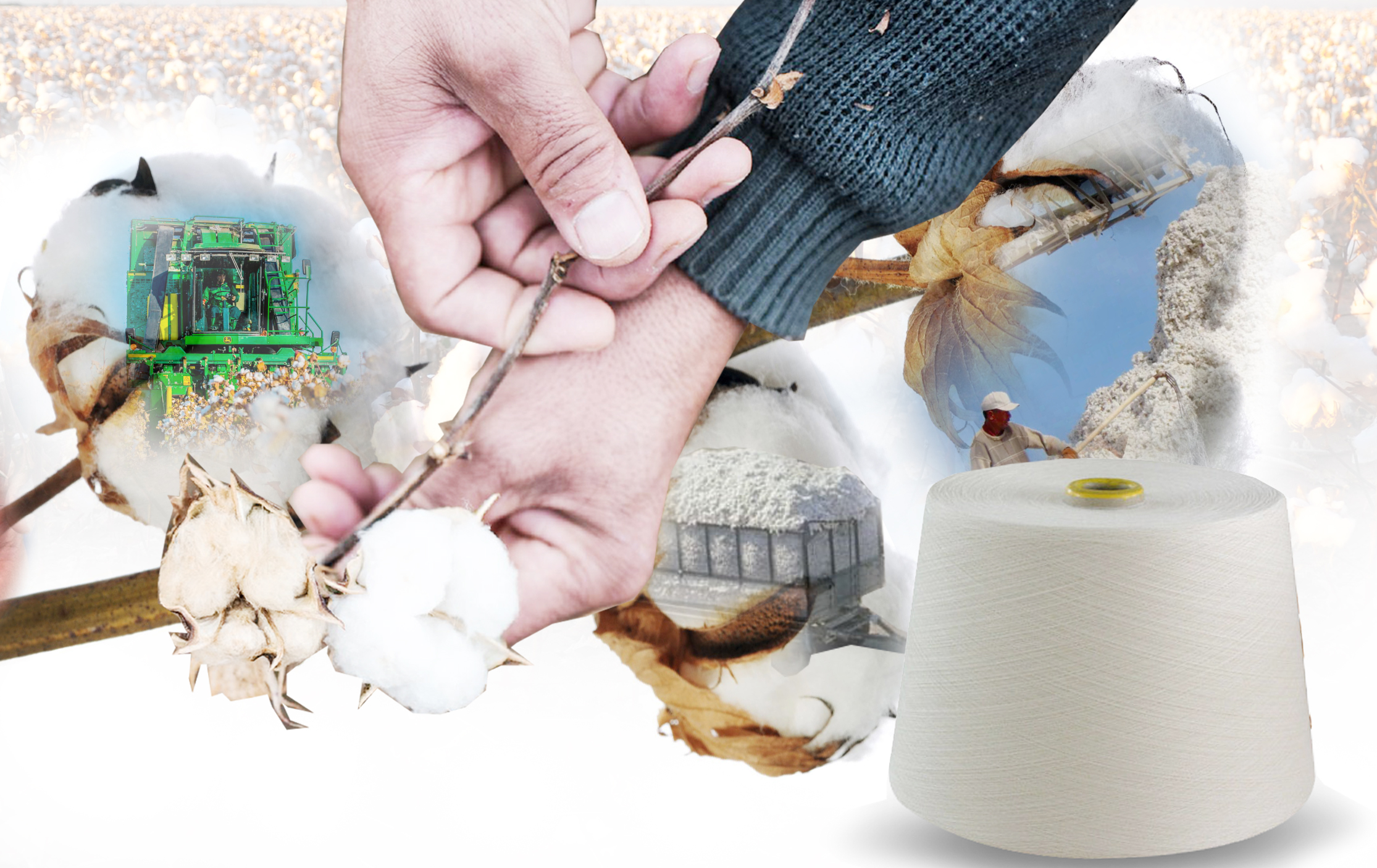 Мақташылардың мұңы