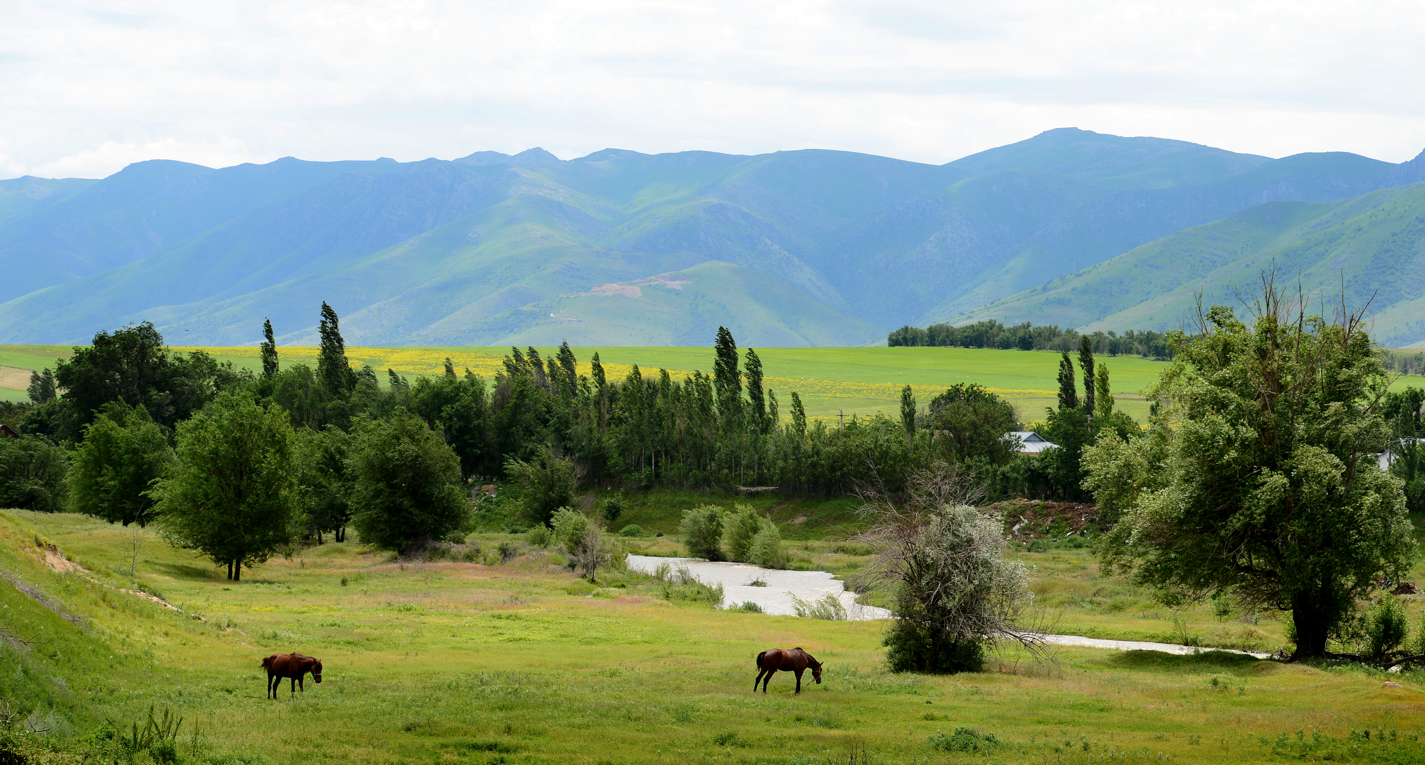 Бақуатты ауыл – береке бастауы