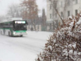 Астанада қала маңындағы 11 автобустың қозғалысы тоқтатылды
