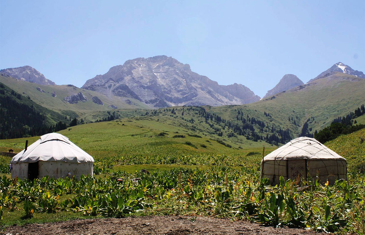 Глэмпинг ауылдың  ажарын ашады