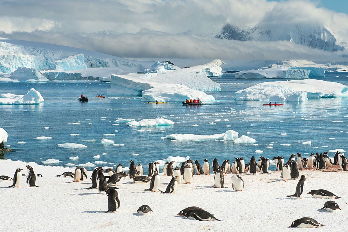 Антарктида еріп барады: Мұз ауданының рекордтық төмен көрсеткіші тіркелді