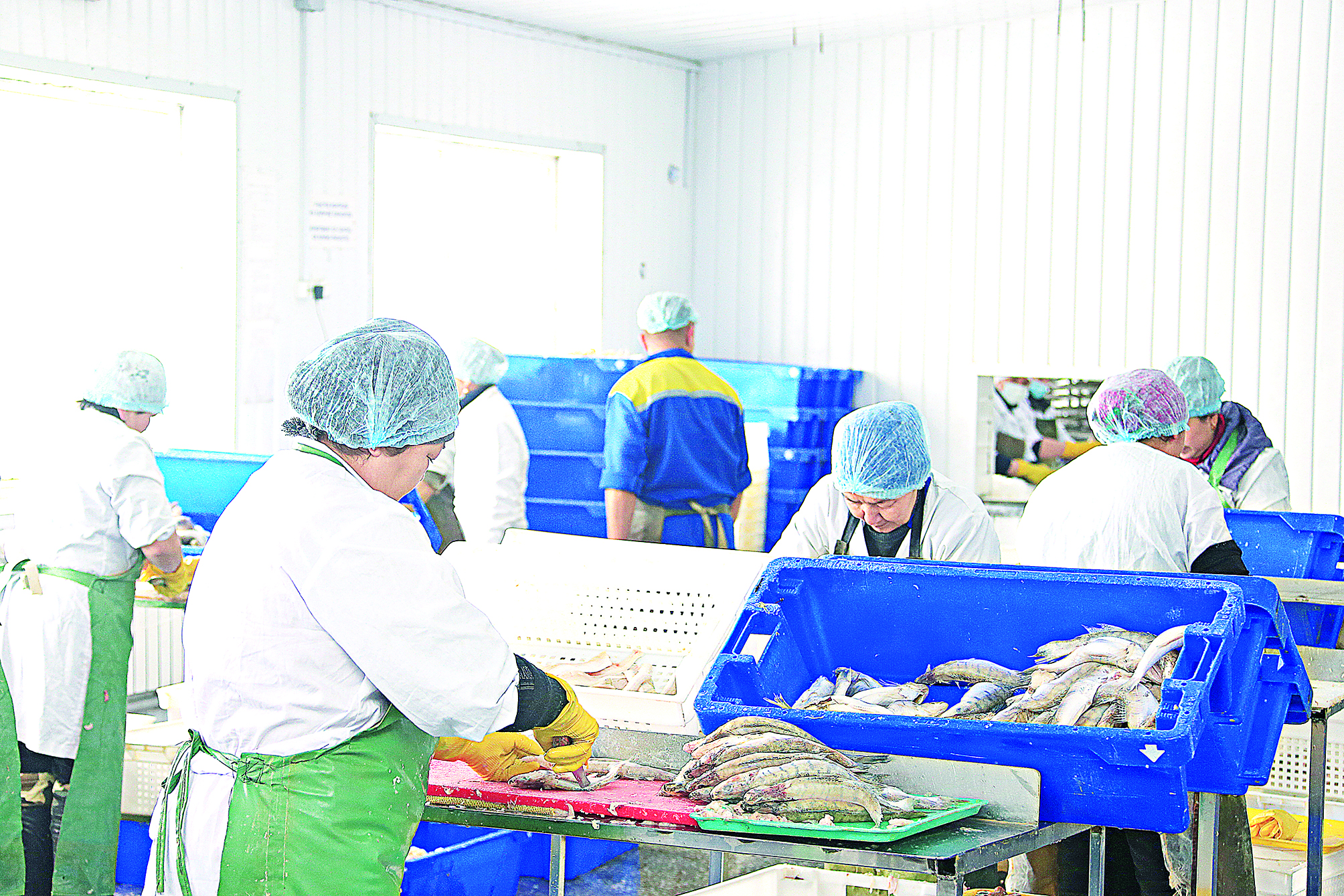 Балық өнімдерінің бәсі биік