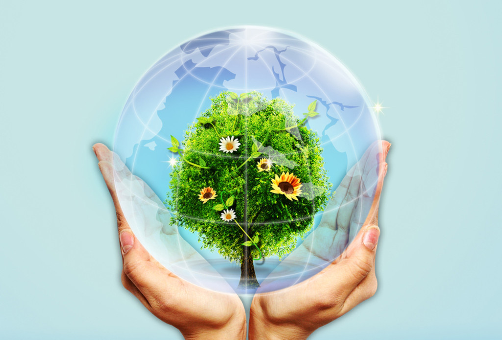 Табиғатты қорғау қадамдары