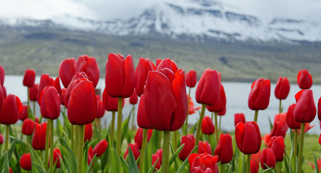 Секс әдемі қыздар камминг олардың письки