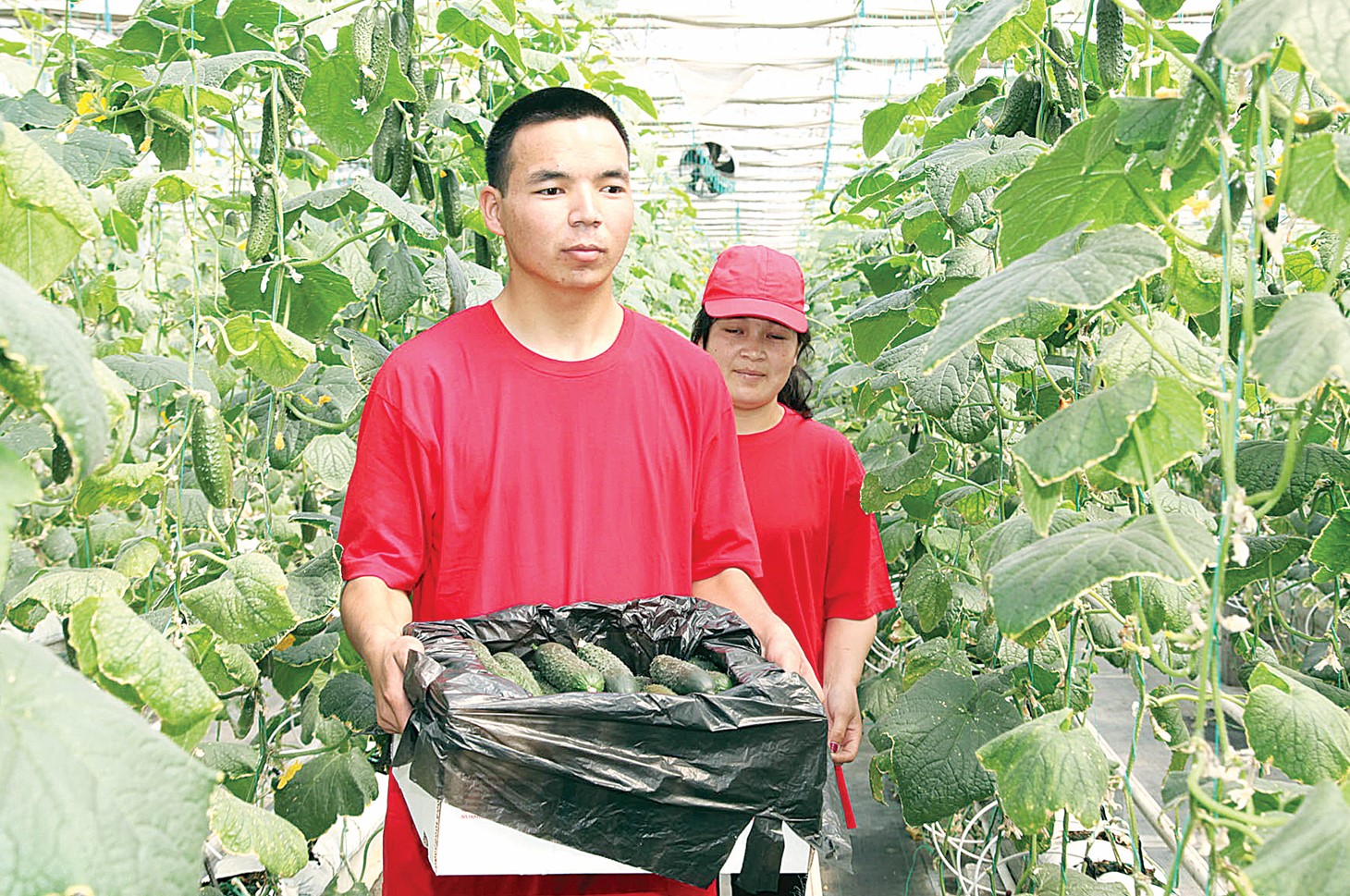 Кедергіге кезіккен кәсіпкерлік