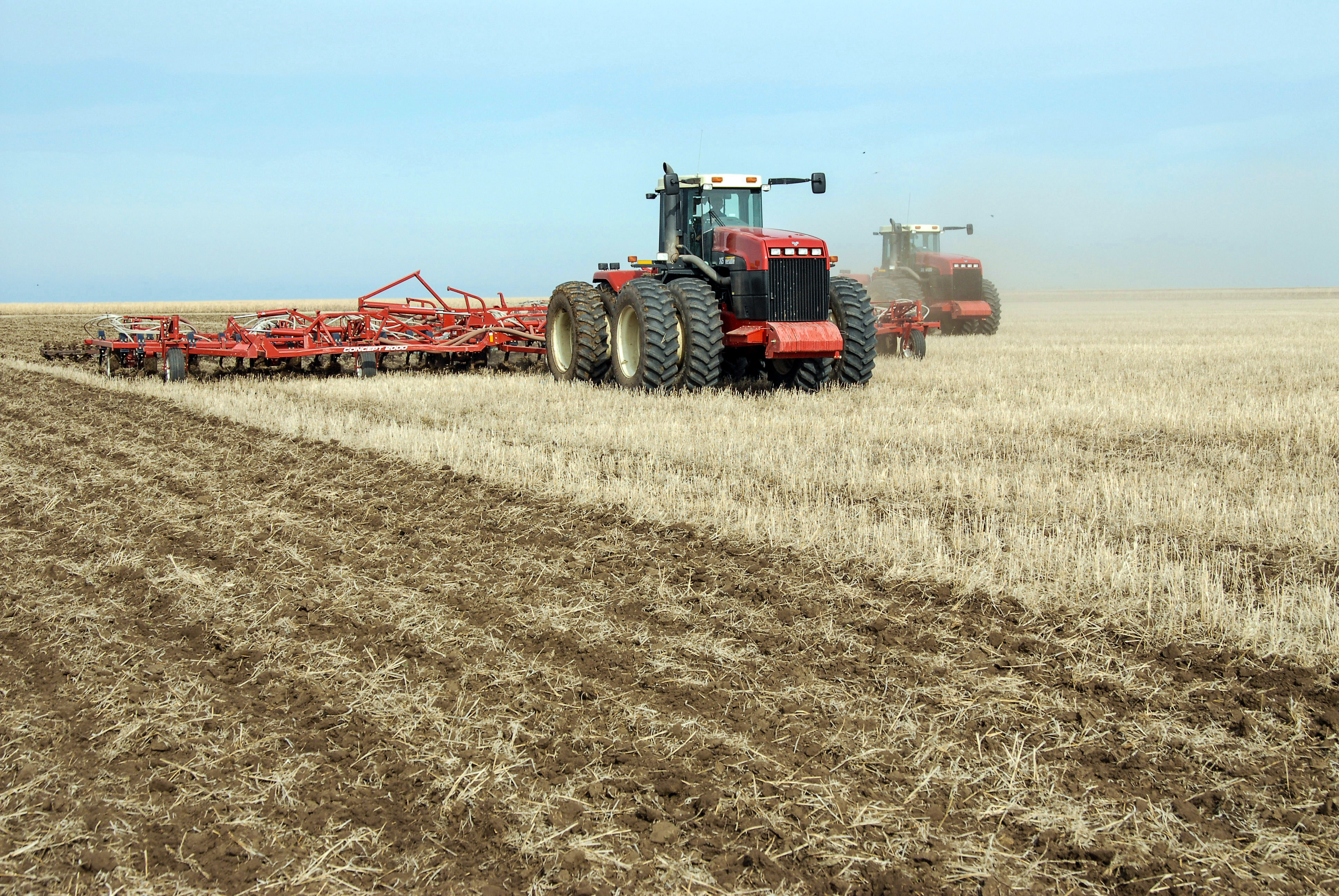 Шаруаны не алаңдатады?