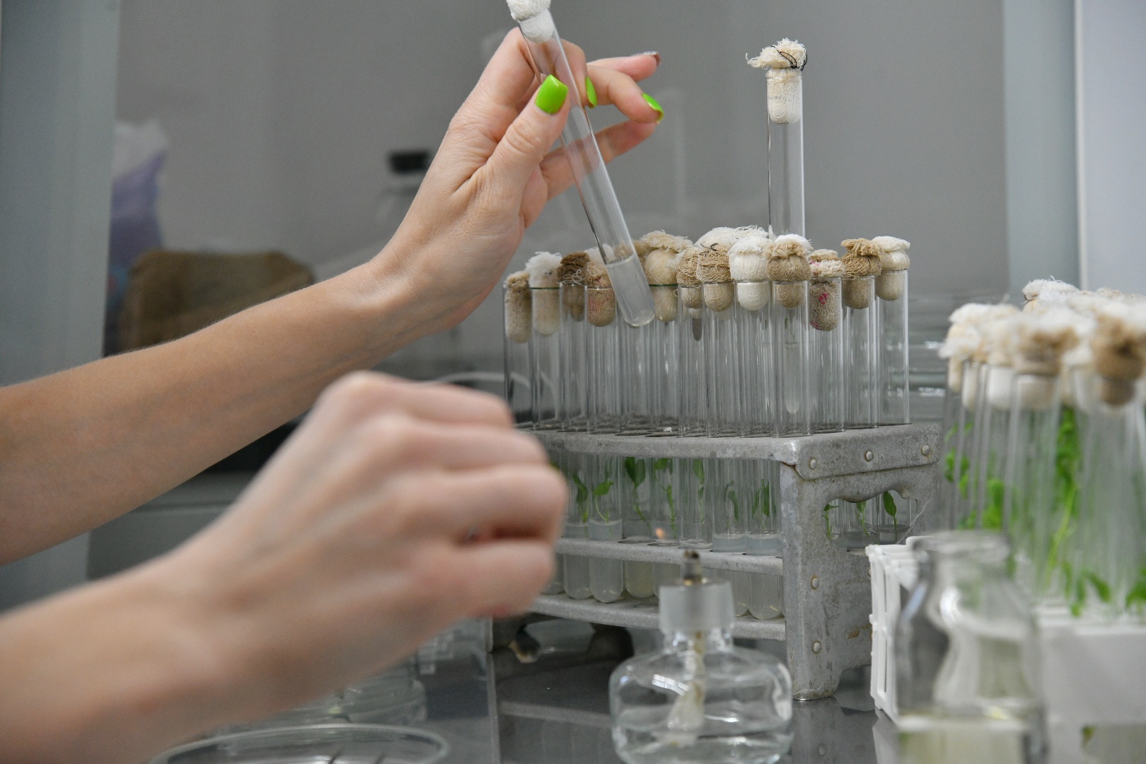 Агроғылым қолдауға мұқтаж