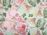 Түрік лирасы рекордтық деңгейге дейін құнсызданды