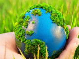 5 маусым - Дүниежүзілік қоршаған ортаны қорғау күні