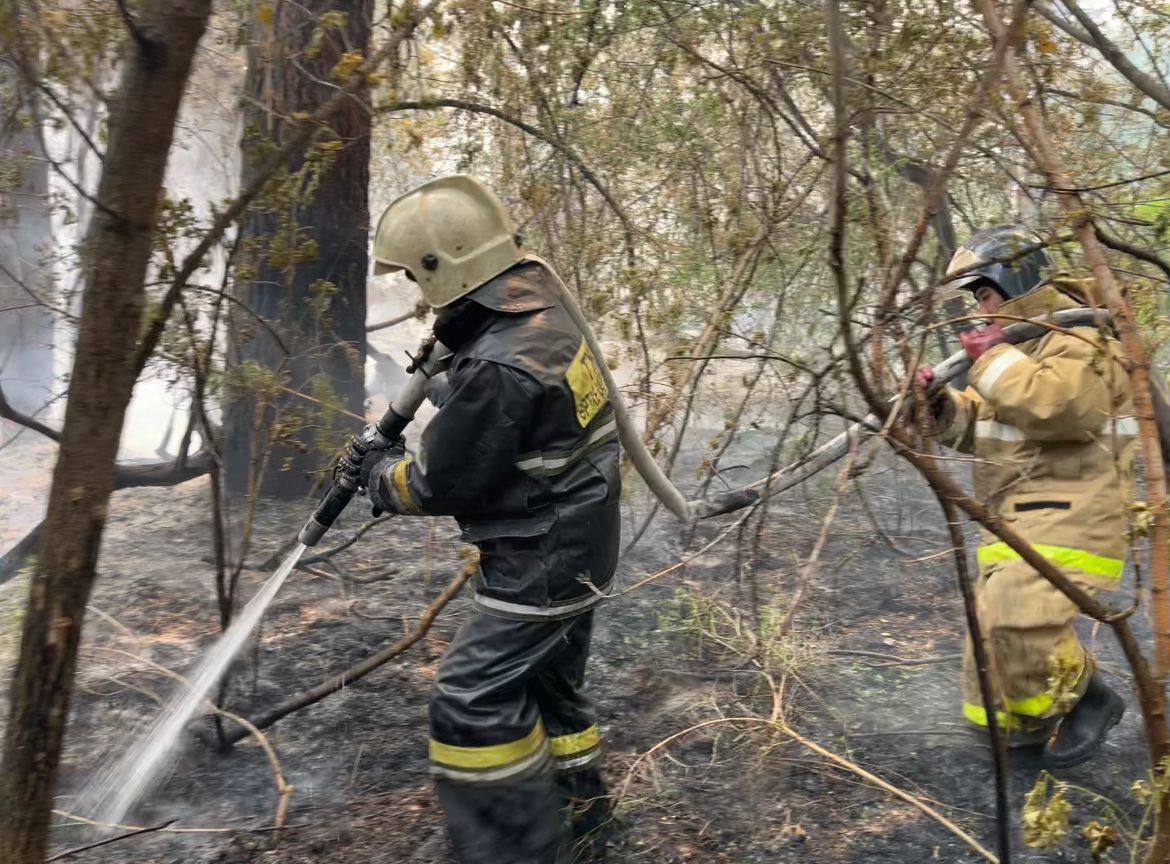 Абай облысы: 5 учаскеде өрт сөндіру жұмыстары жалғасып жатыр
