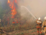 Абай облысының әкімі ормандағы өрт жағдайын баяндады