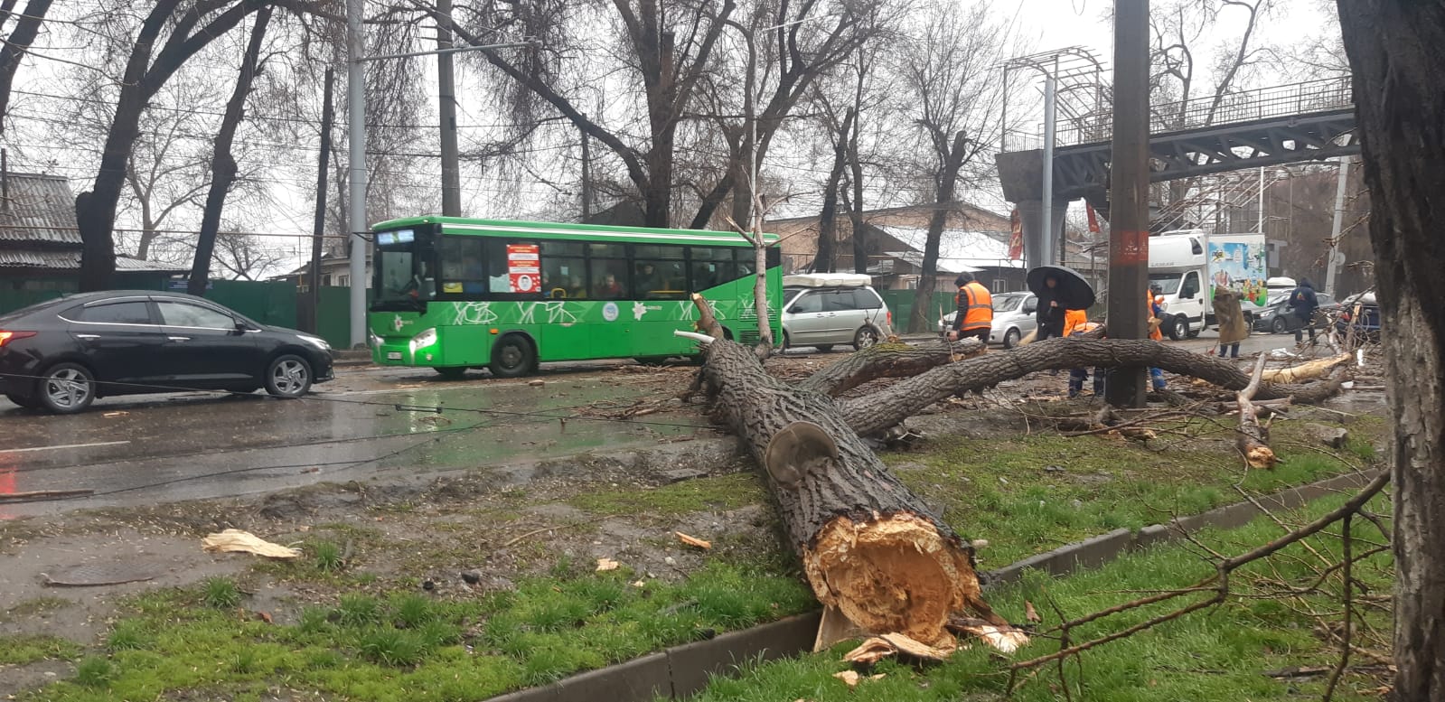 Алматыда қатты жел салдарынан бірнеше көлік зақымданды