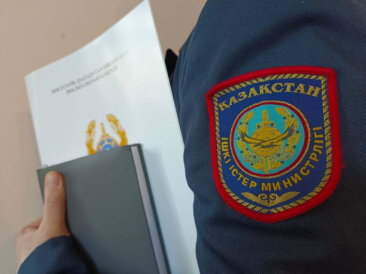 Ішкі істер органдарына қолдау көрсетіле береді - Президент