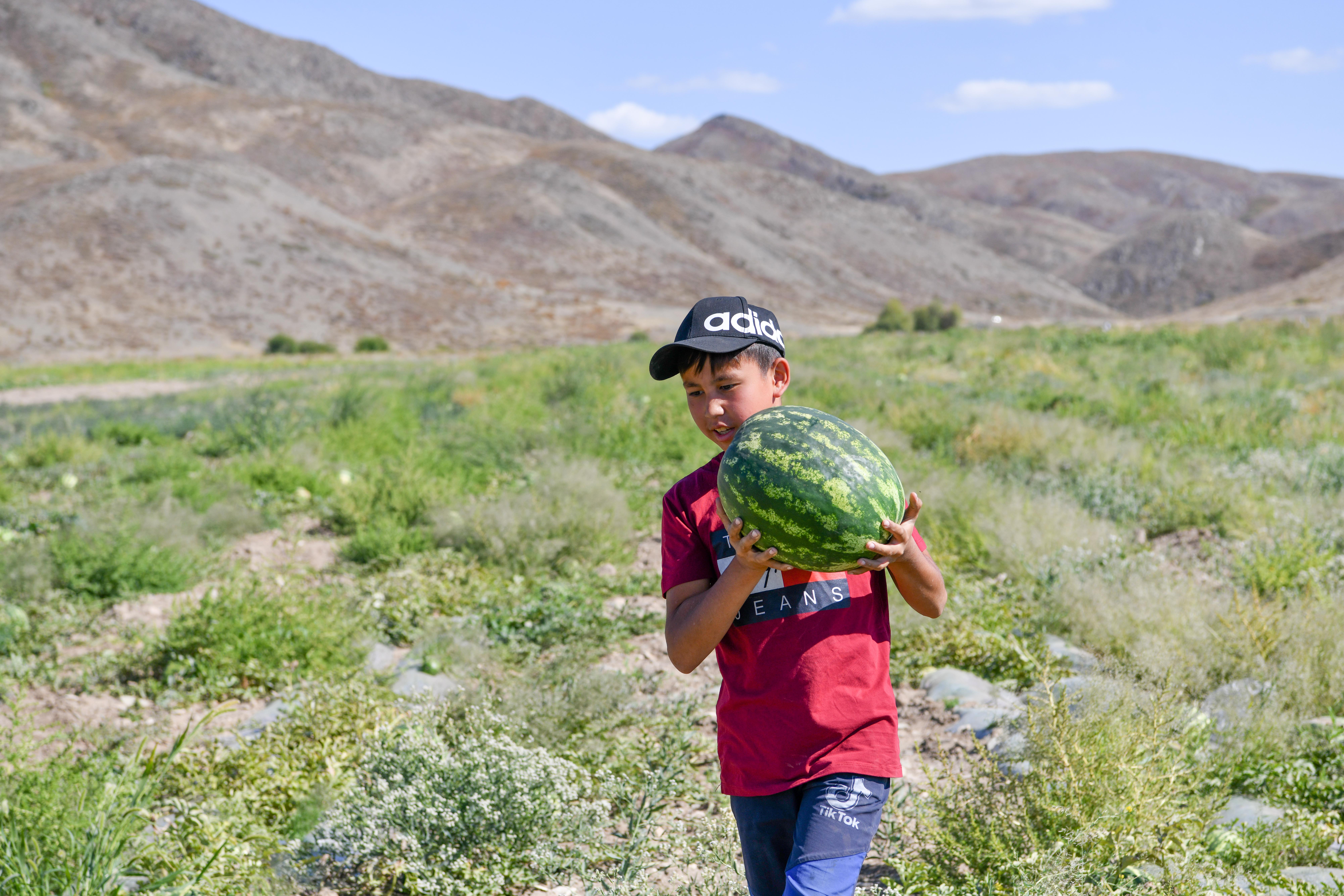 Ашынған шаруаның ащы дауысы