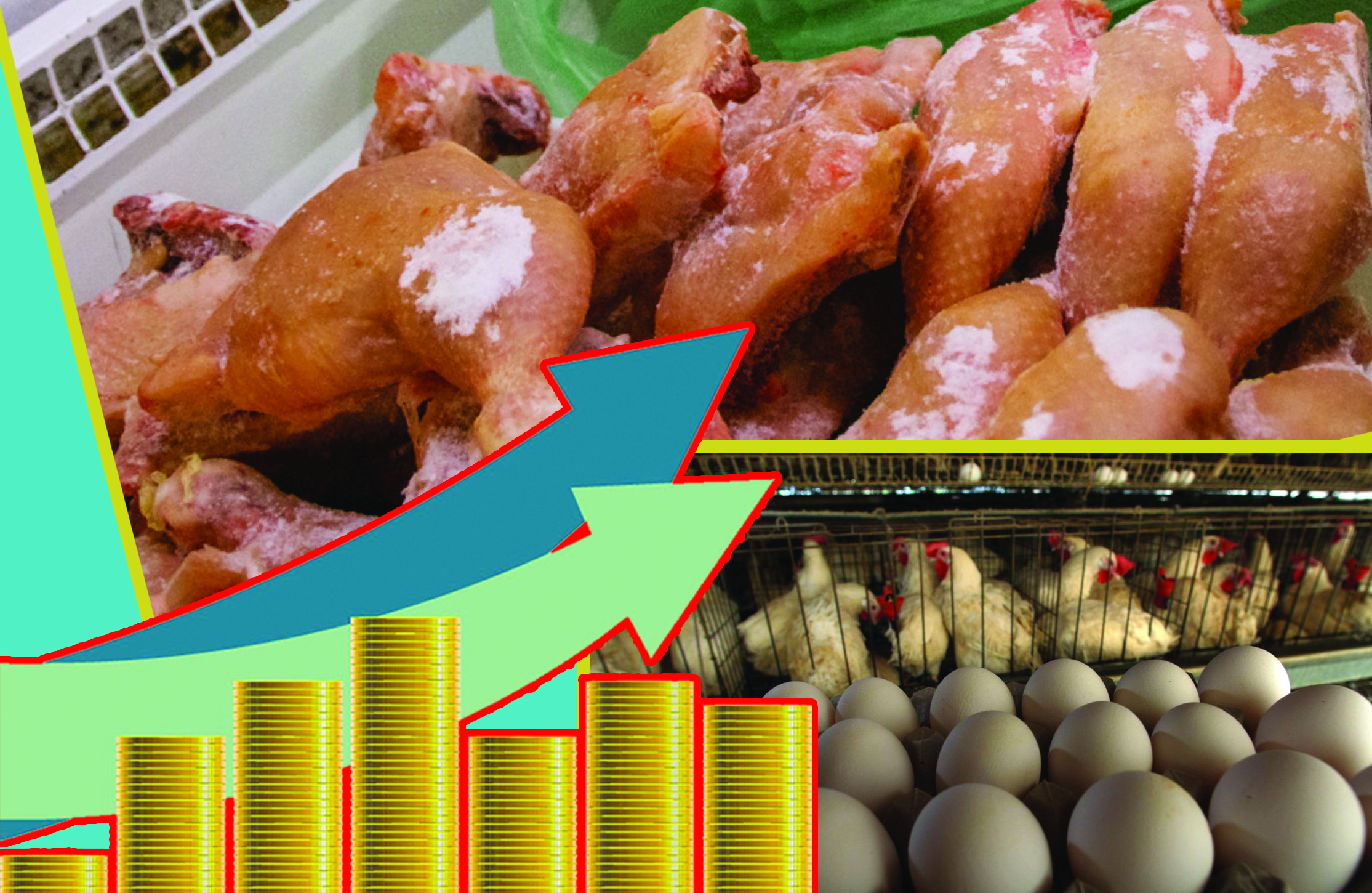 Құс еті неге қымбат?